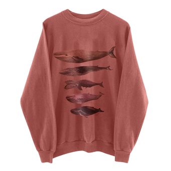 Sweaters & Sweatshirts