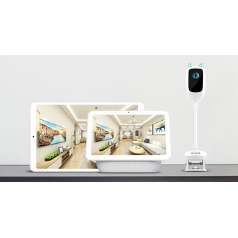 Surveillance Products