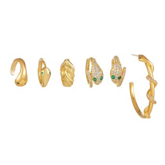 Earrings