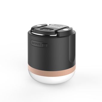 Flashlights & Torches