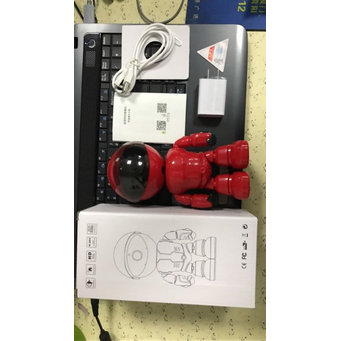 Camcorders