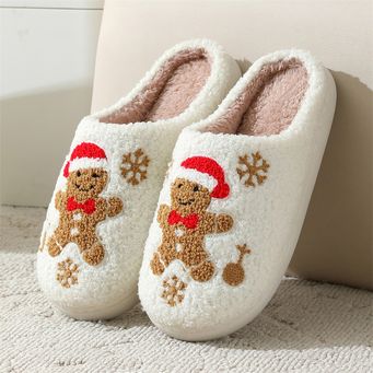 Woman Slippers