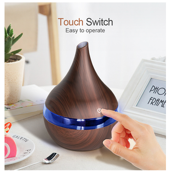 Personal Care Appliances