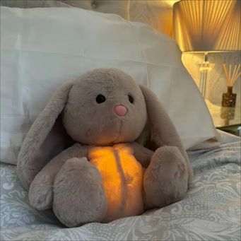 Soft Toys