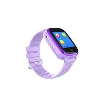 Smartwatches & Wearables