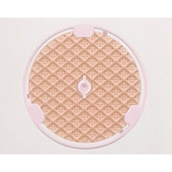 Smart Wearable Devices