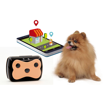 Smart Wearable Devices