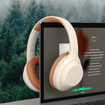 Earphones & Headphones