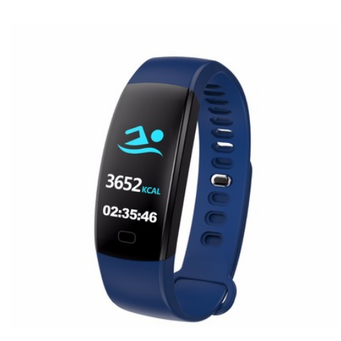 Smartwatches & Wearables