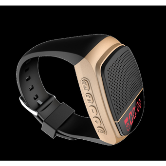 Smartwatches & Wearables