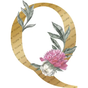 Jewellery Packaging & Display