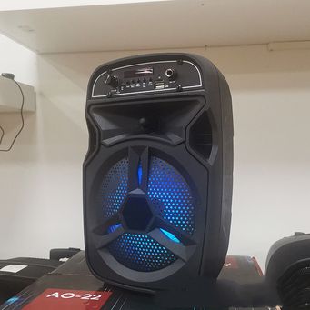 Sound Systems & Speakers 