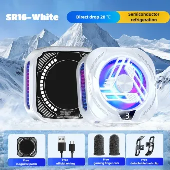 Mobile Phone Accessories