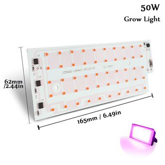 Lights & Lighting Accessories