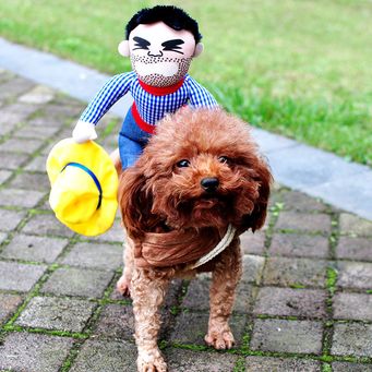 Pet Clothings