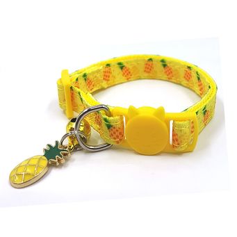 Pet Collars