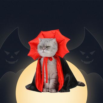 Pet Clothings