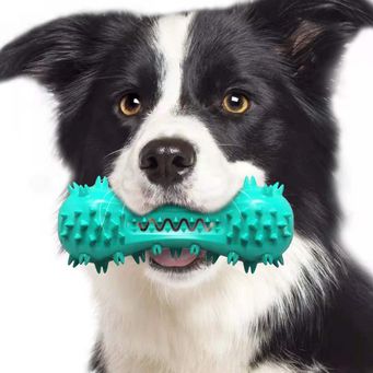 Pet Toy Set