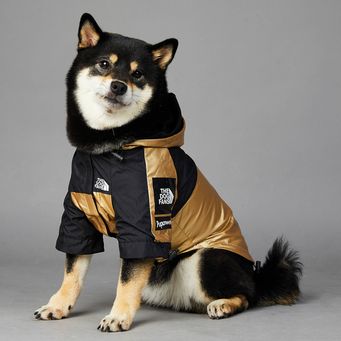 Pet Clothings