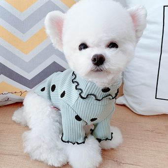 Pet Clothings