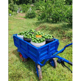 Handling, Warehousing & Transportation Equipment