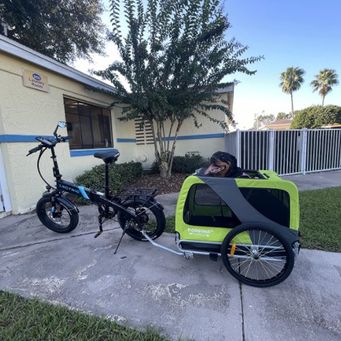 Handling, Warehousing & Transportation Equipment