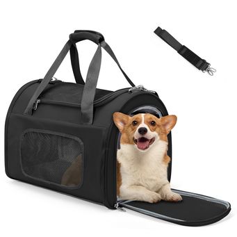 Pet & Veterinary Supplies