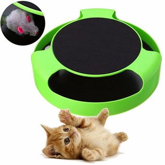 Pet Training and Educational Toys