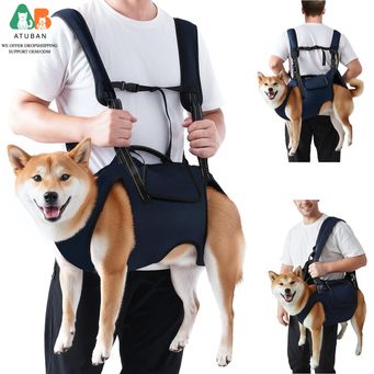 Pet & Veterinary Supplies