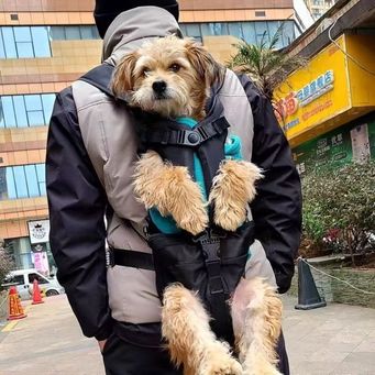 Pet & Veterinary Supplies