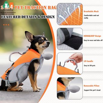 Pet & Veterinary Supplies