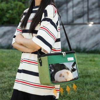 Pet & Veterinary Supplies