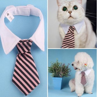 Pet Bows & Ties