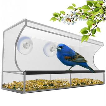 Bird Feeders