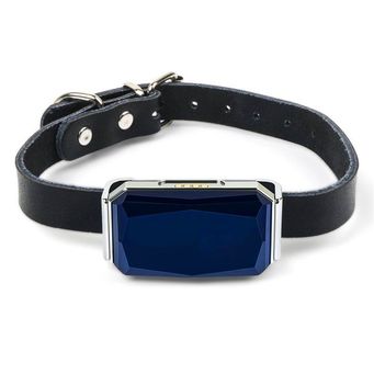 Pet Collars