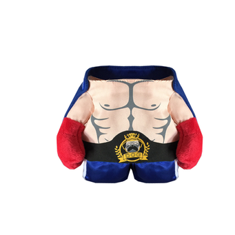 Pet Functional Clothings