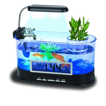 Fish Tanks