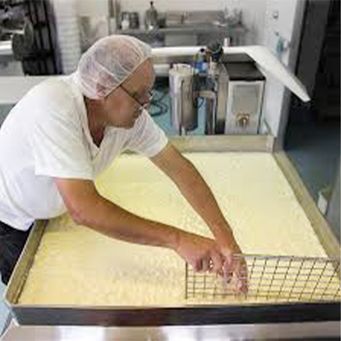 Food Machine and Supporting Equipment