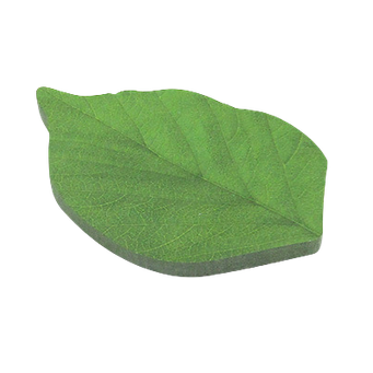 Notebooks & Writing Pads