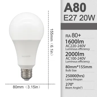 Light Bulbs