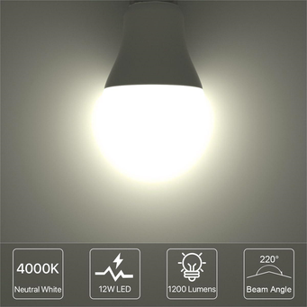 Light Bulbs