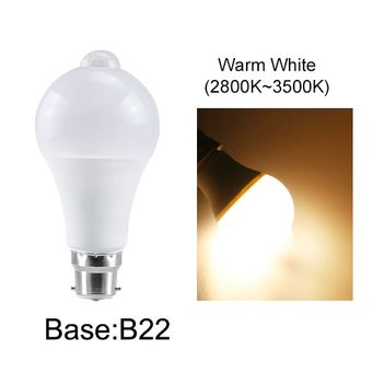 Light Bulbs