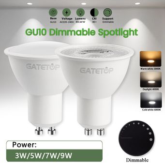 Light Bulbs