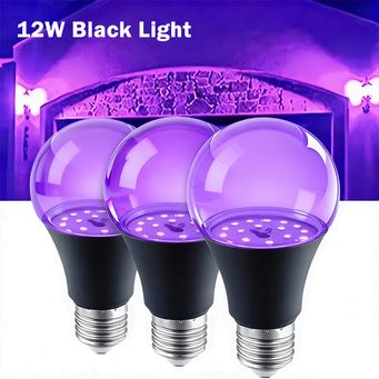 Light Bulbs
