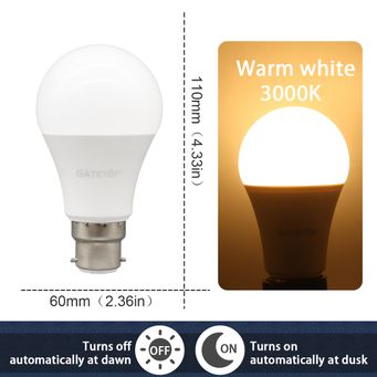Light Bulbs