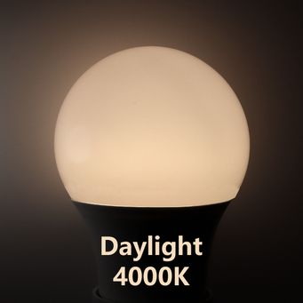 Light Bulbs