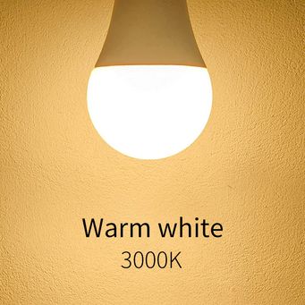 Light Bulbs