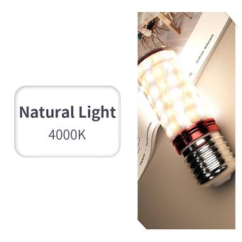 Light Bulbs