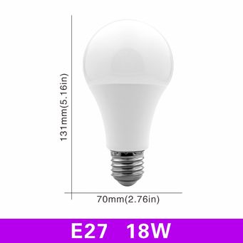 Light Bulbs