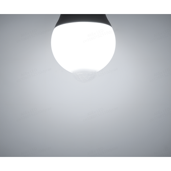 Light Bulbs